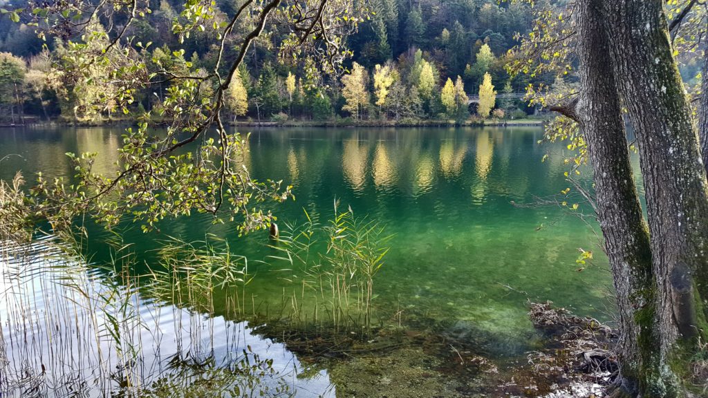 Thumsee, Bad Reichenhall