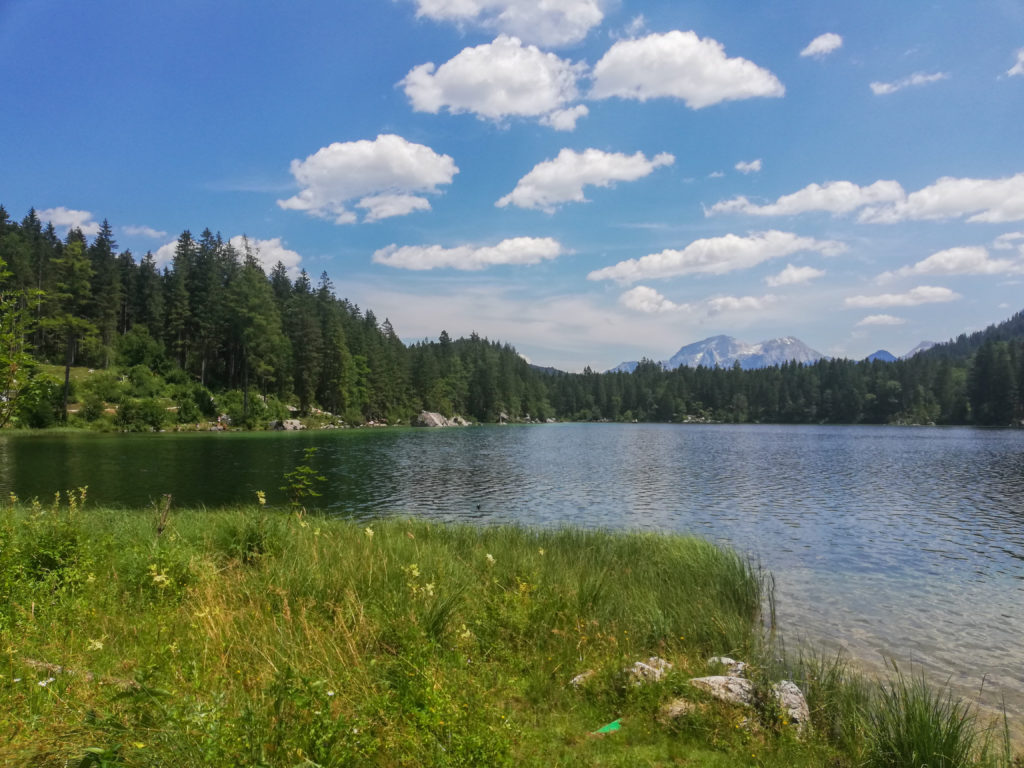 Hintersee, Zauberwald, Ramsau, Berchtesgaden