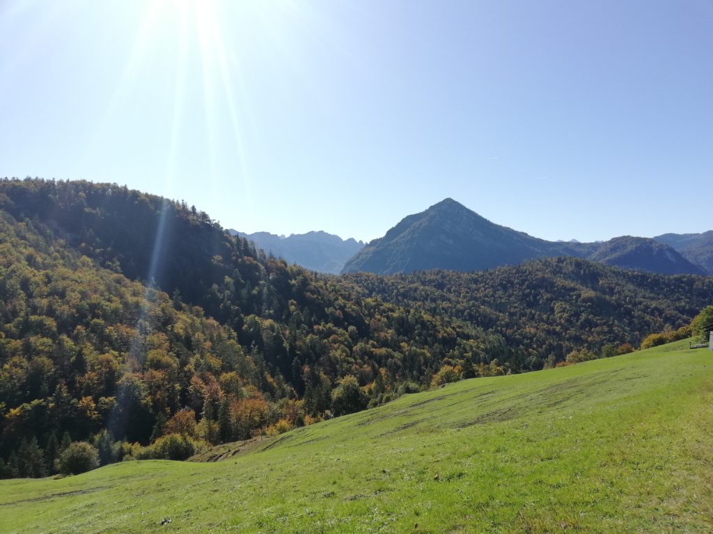 Wanderparkplatz Jochberg, Wanderung auf den Zwiesel