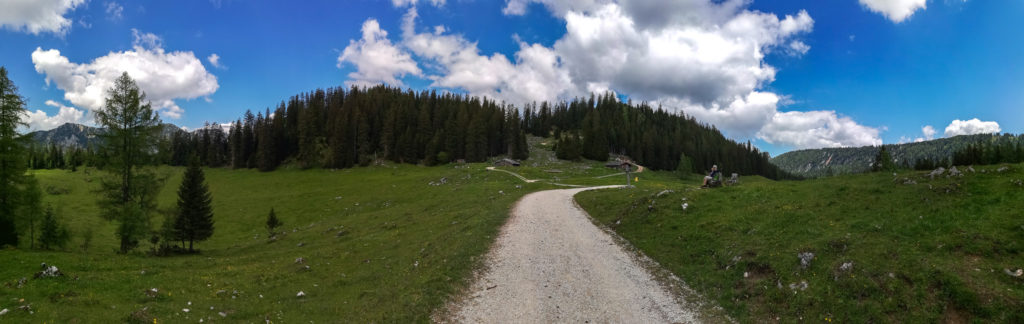 Ramsauer Almerlebnisweg über die Moosenalm